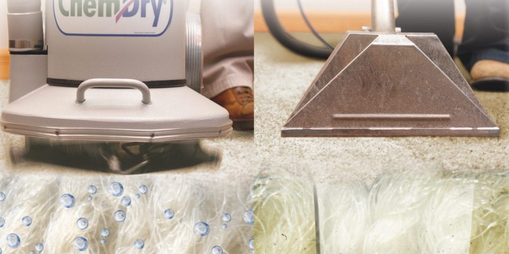 Best Carpet Cleaner in Naples, FL ChemDry by Rhein